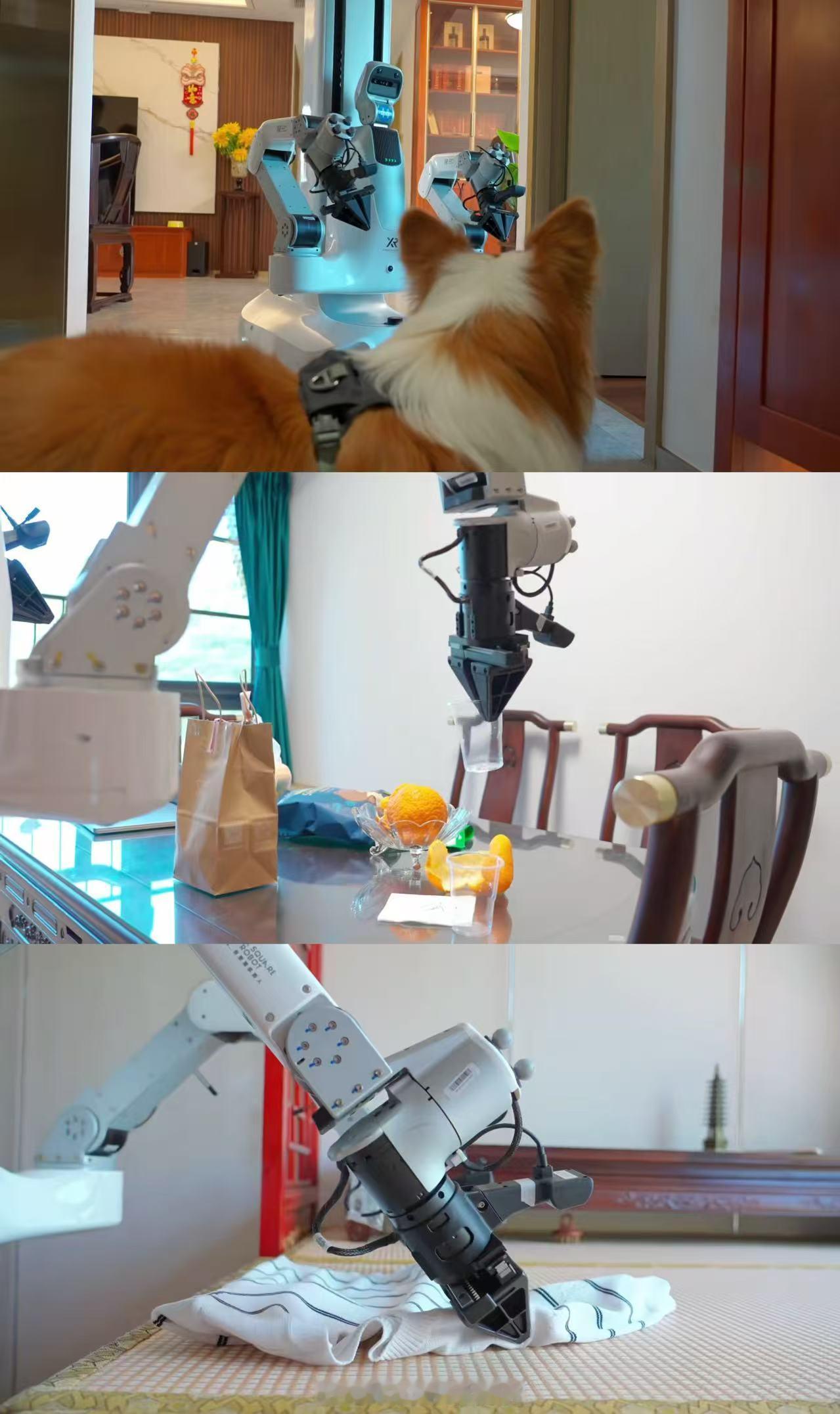 进家庭干活的机器人终于来了 如果它能学会“在保洁阿姨来之前，先把我乱扔的东西智能