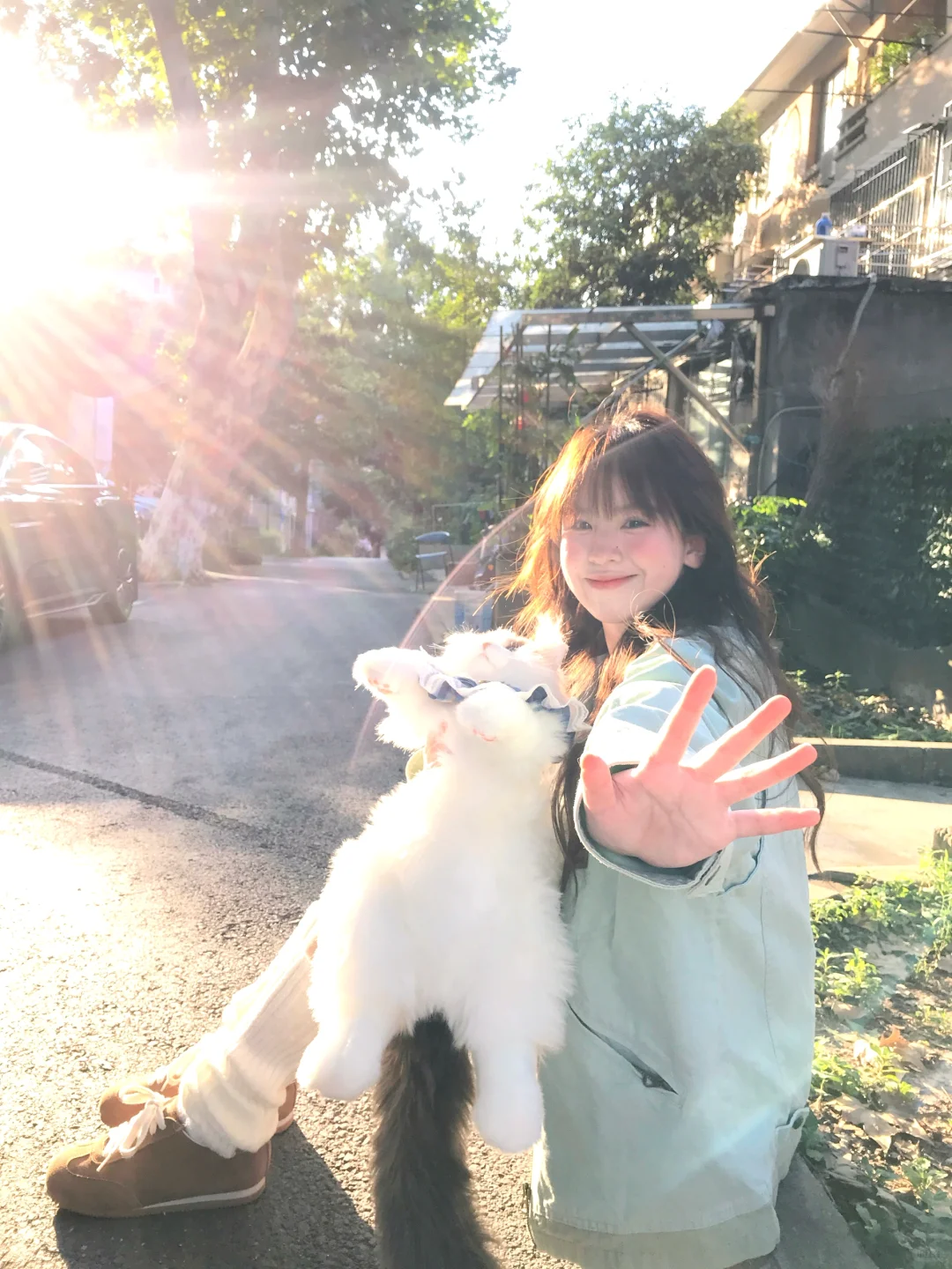 ^⚯^ฅ喵～🐈