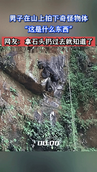“彻底解释不清了！”一男子在山下路过时，拍到了一个奇怪的物体，跟液体流动一样，一