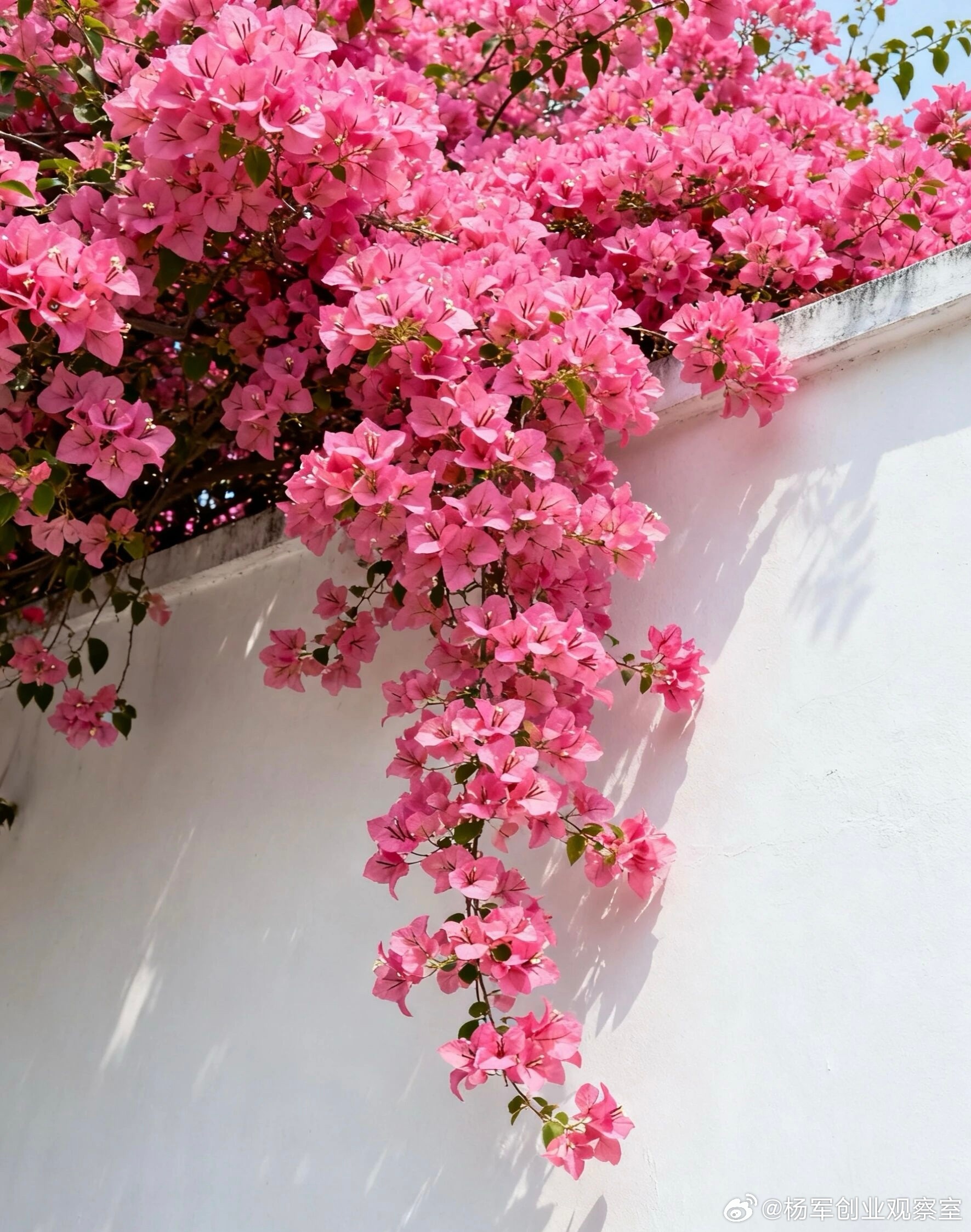 【合伙制两大模式，一文讲清】常被问到“合伙制到底怎么用”。其实核心就分两种：1.