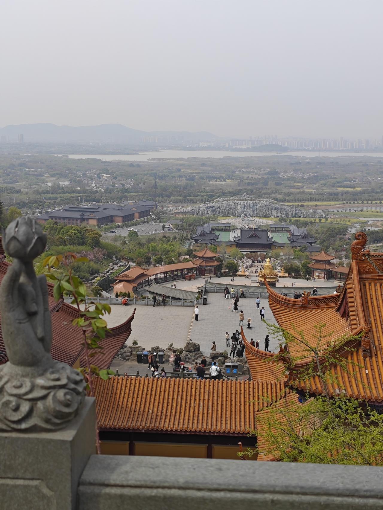 嘿，西红柿这“小调皮”，各地叫法那差异就像不同风格的乐章。北方大多叫“西红柿”，