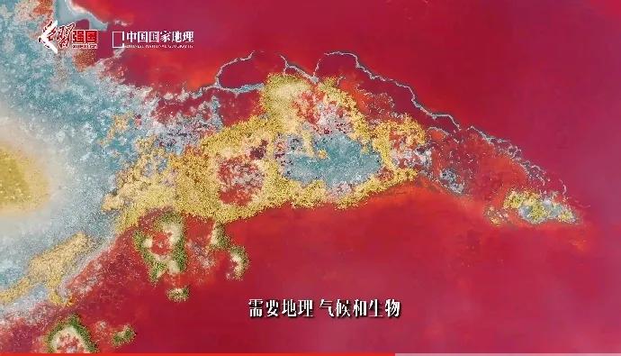 中国国家地理：
发现中国极致景观，
内蒙古阿拉善盟、
沙漠盐湖，
大自然做了一场