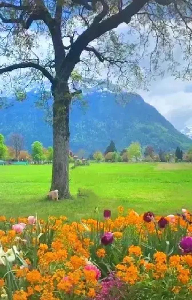 很多人总觉得祖坟选得好，就能让后代顺风顺水，可《周易》早就点破了这层窗户纸：真正