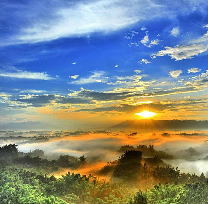 翁帆写《晨曦集》曝杨振宁日常：6点起10点休，54岁婚差里藏着最真的生活
 
提