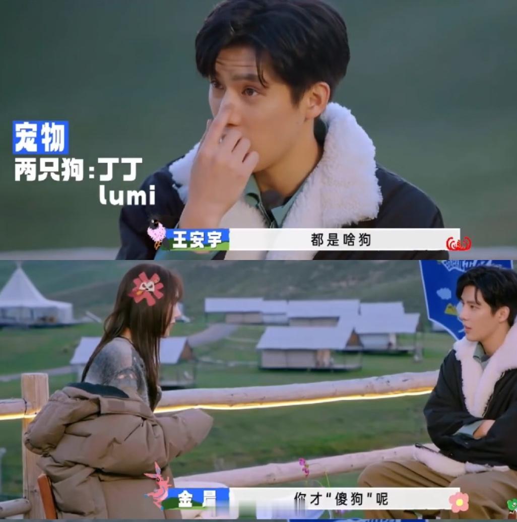 金晨仍持续掉粉hhh，可是我觉得她综艺真的很搞笑啊，每次再看这段还是觉得很搞笑～