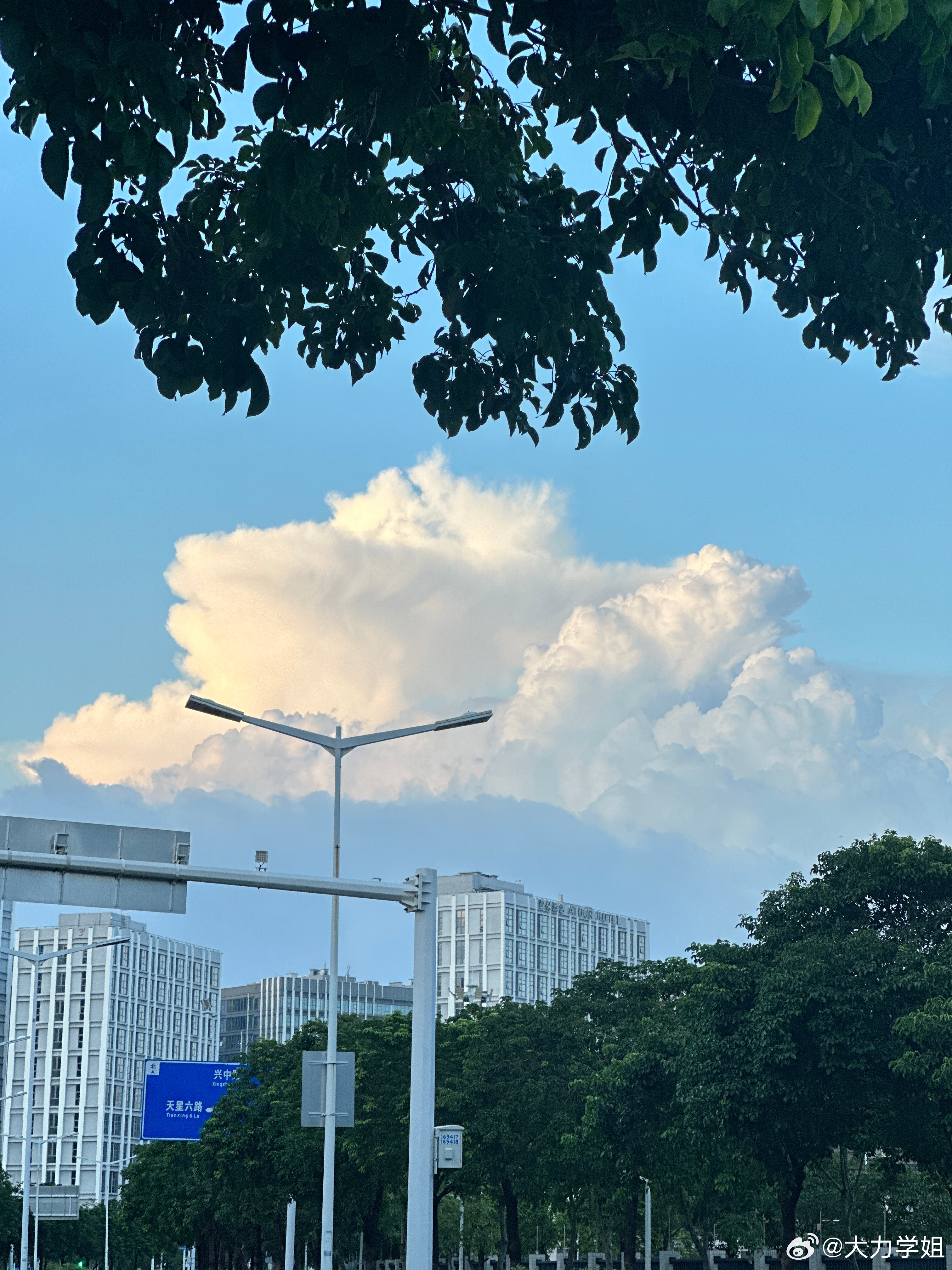 张凌赫拍的云找到我跟共同的爱好了