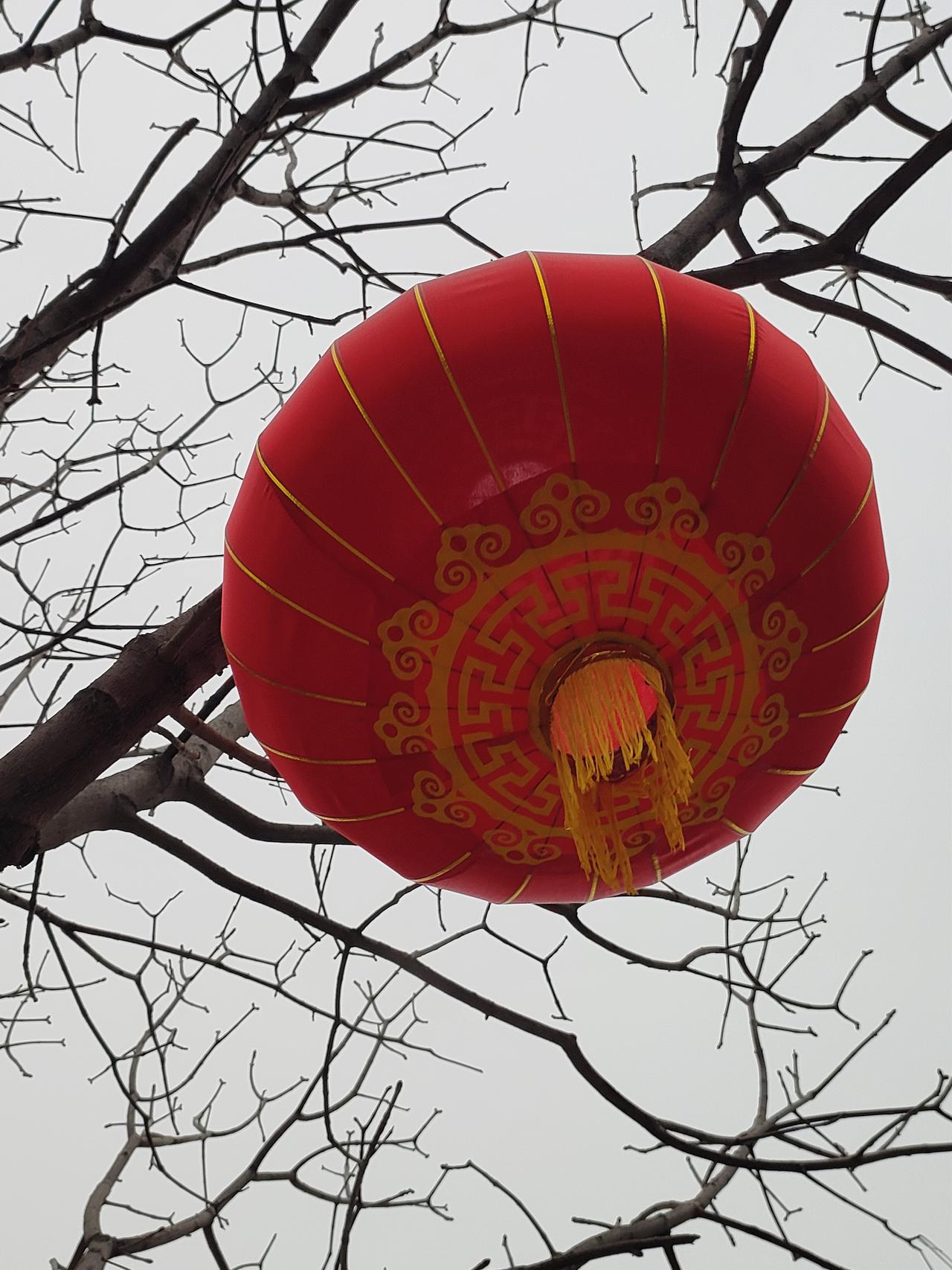 2. 一盏红灯笼，点亮新春意，枝头藏期许，万事皆可期。
3. 寒枝托红火，年味入