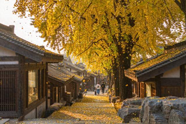 11月这批中小学放5天秋假，机票现在订还不算贵