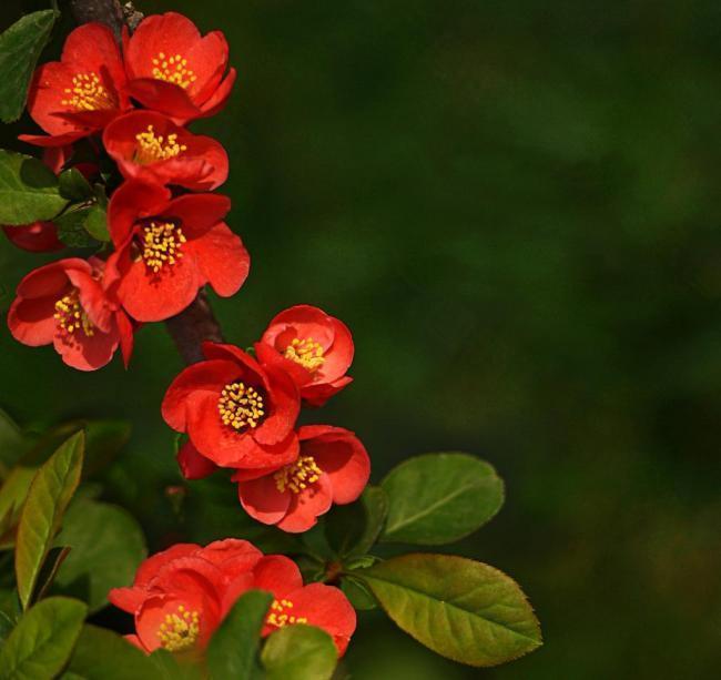 周一盘后再度传出新消息，周二能否实现向上突破？
周一盘后新消息如下：
一、据媒体