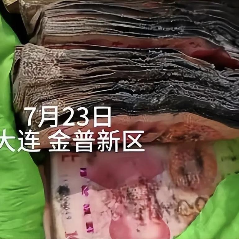 大连男子把10万块钱扔在阳台却忘了要关窗，出差半月回家直接傻眼了！

崔先生常年