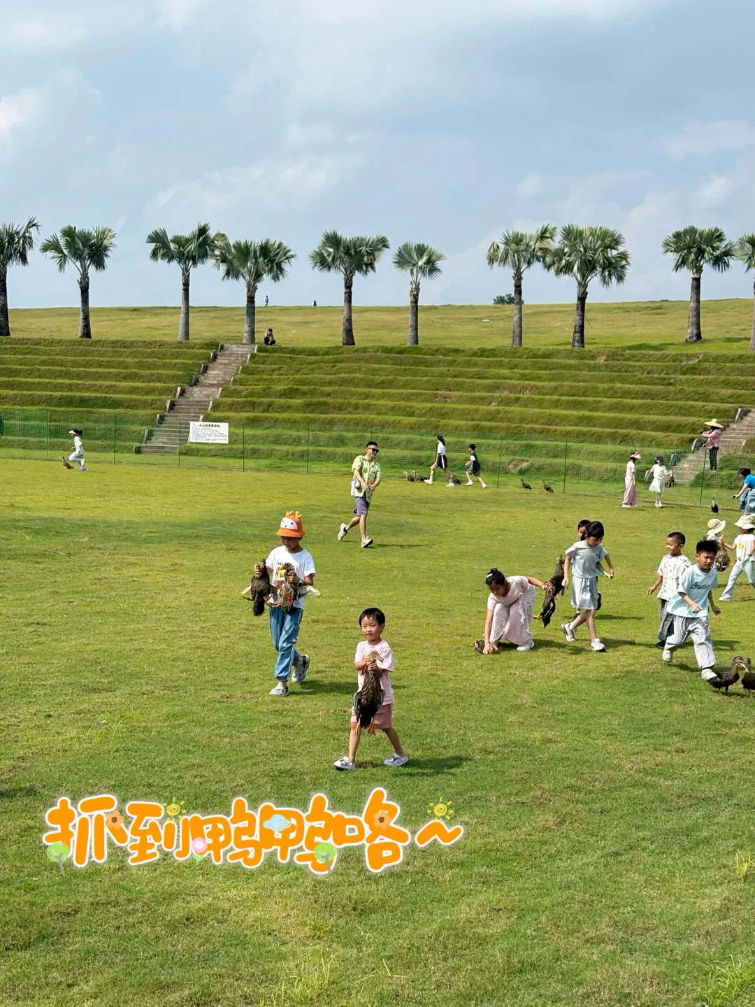 广州六一来这！马岭观花植物园喊你抓鸭鸭啦