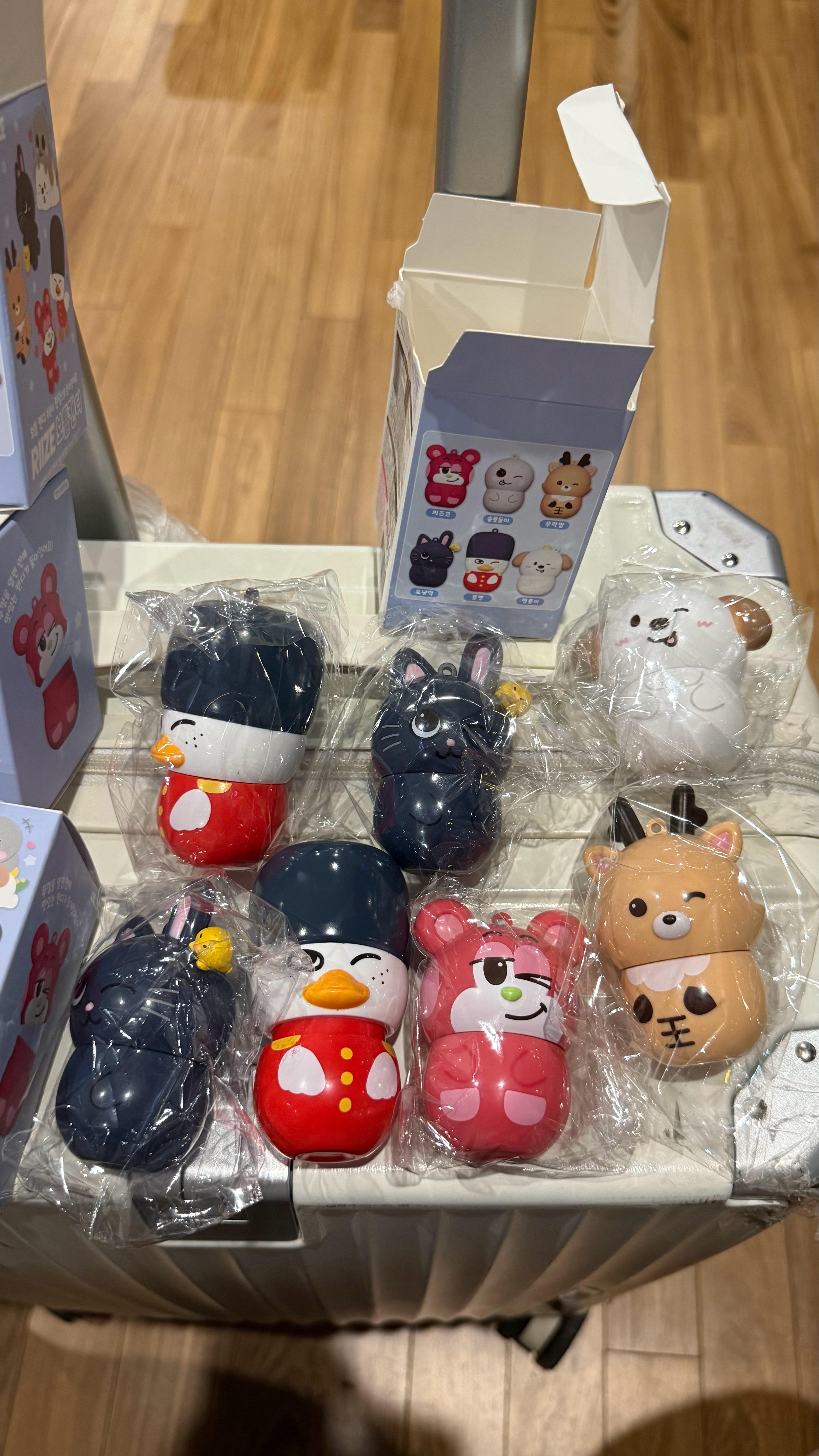 买了一堆椅孙回去。 