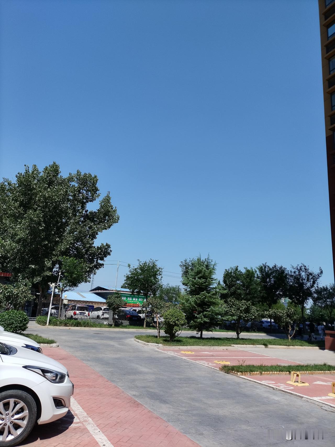 你发现了吗？60和70后的人，当年做儿媳的时候，年代讲究长辈权威，婆婆话语权大，