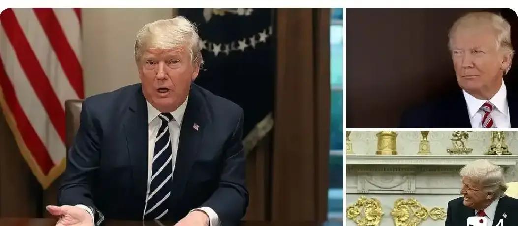 欧盟委员会、德国、法国、加拿大、爱尔兰、意大利、西班牙、荷兰、英国、挪威、芬兰等