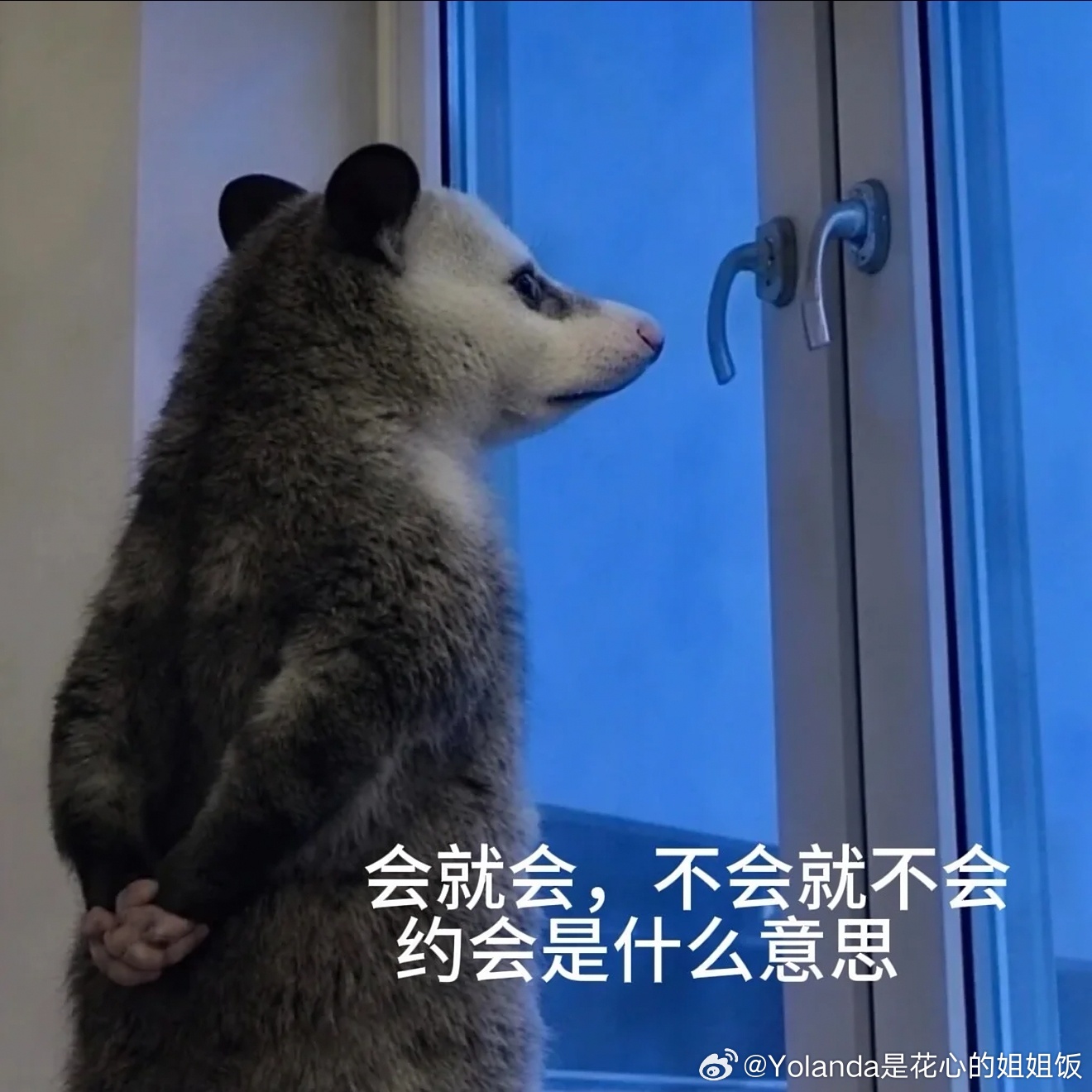 哈哈哈哈哈哈哈