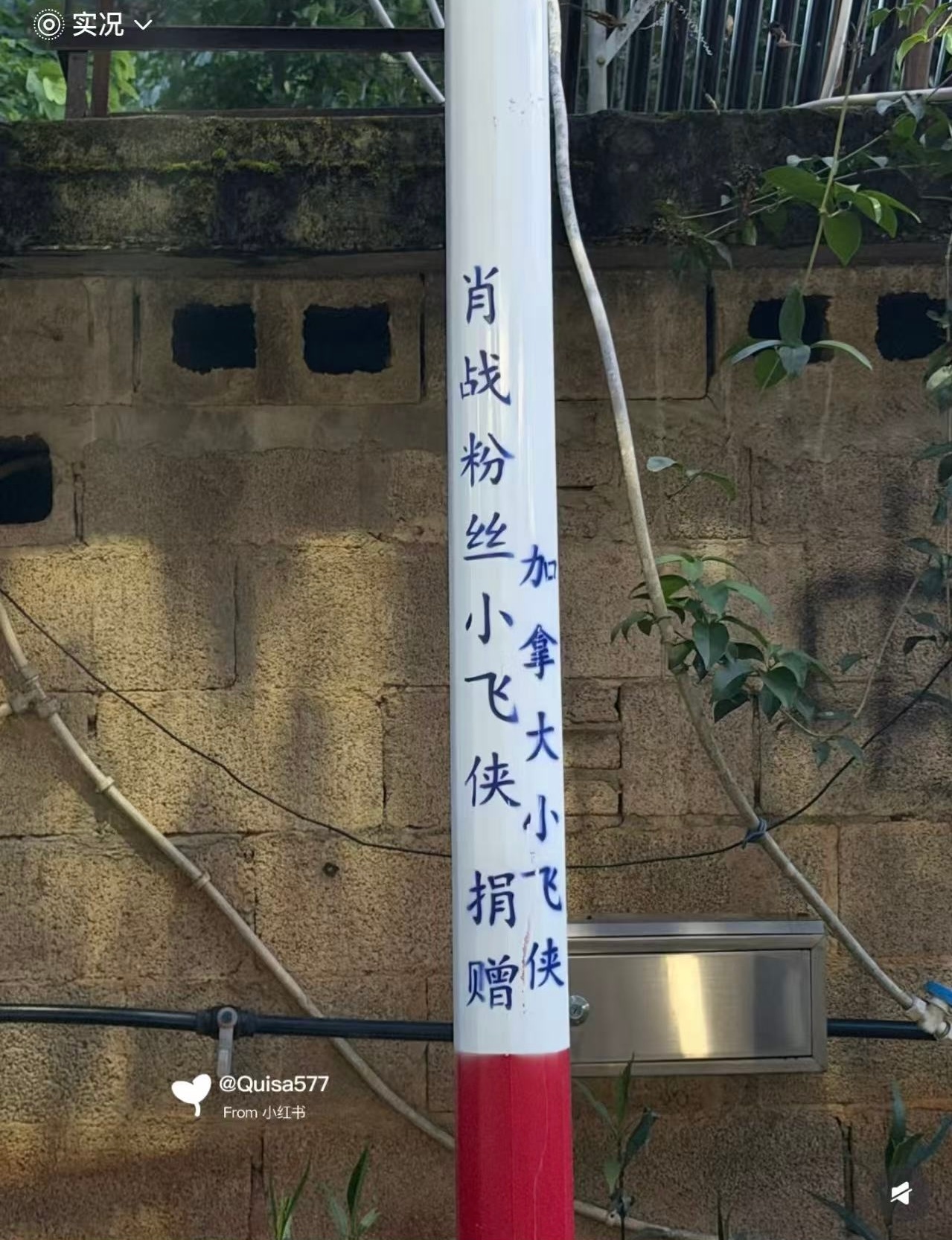 肖战的小飞侠好棒！！ 