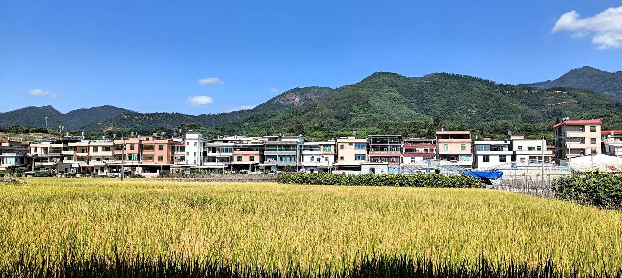 《农田》石皮农田保护区