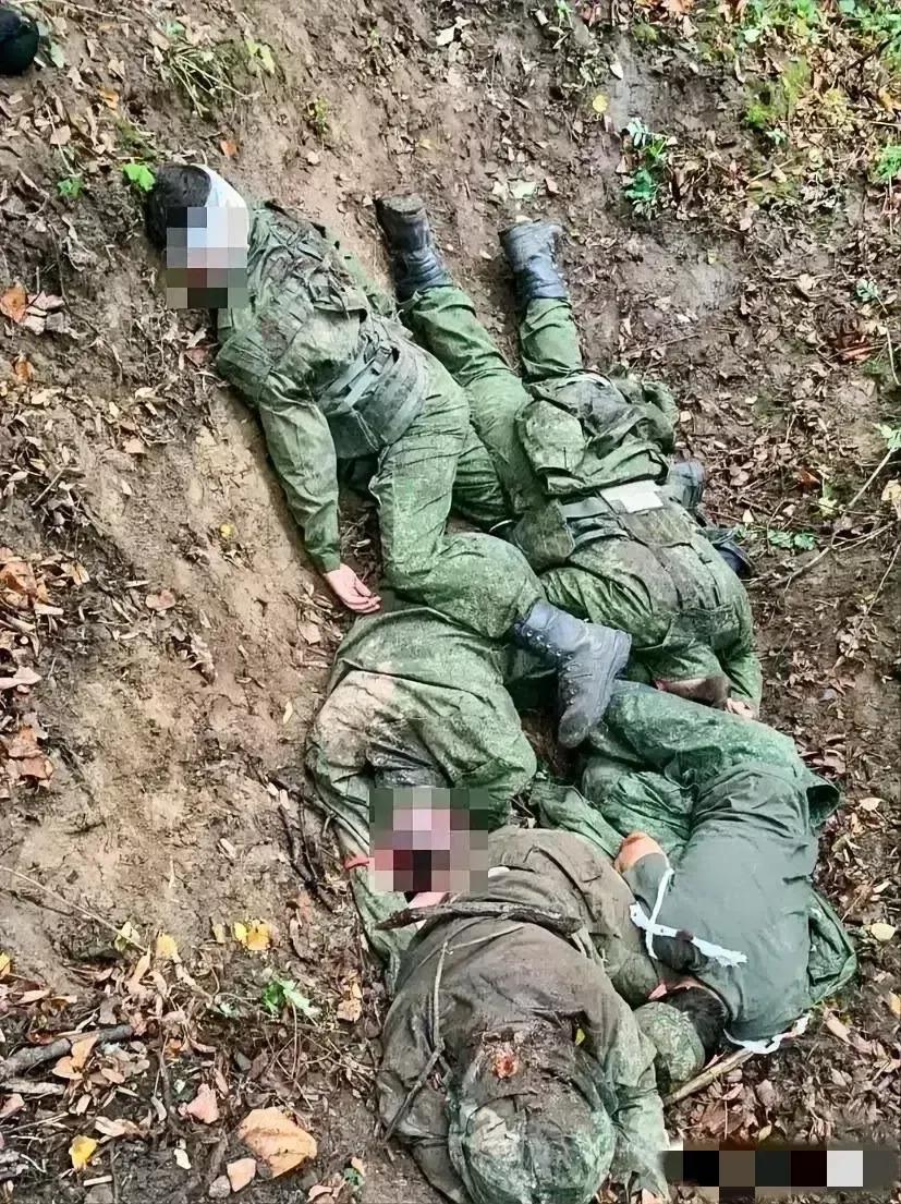 呃，要睡觉在自己家里睡多好，为什么偏要去枪林弹雨的地方睡呢？而且是2023年4月