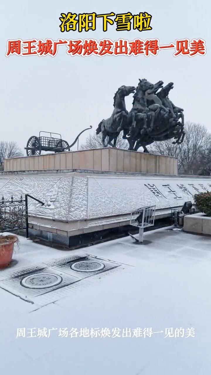 洛阳下雪啦，周王城广场焕发出难得一见的美。
周王城广场各地标焕发出难得一见的美。