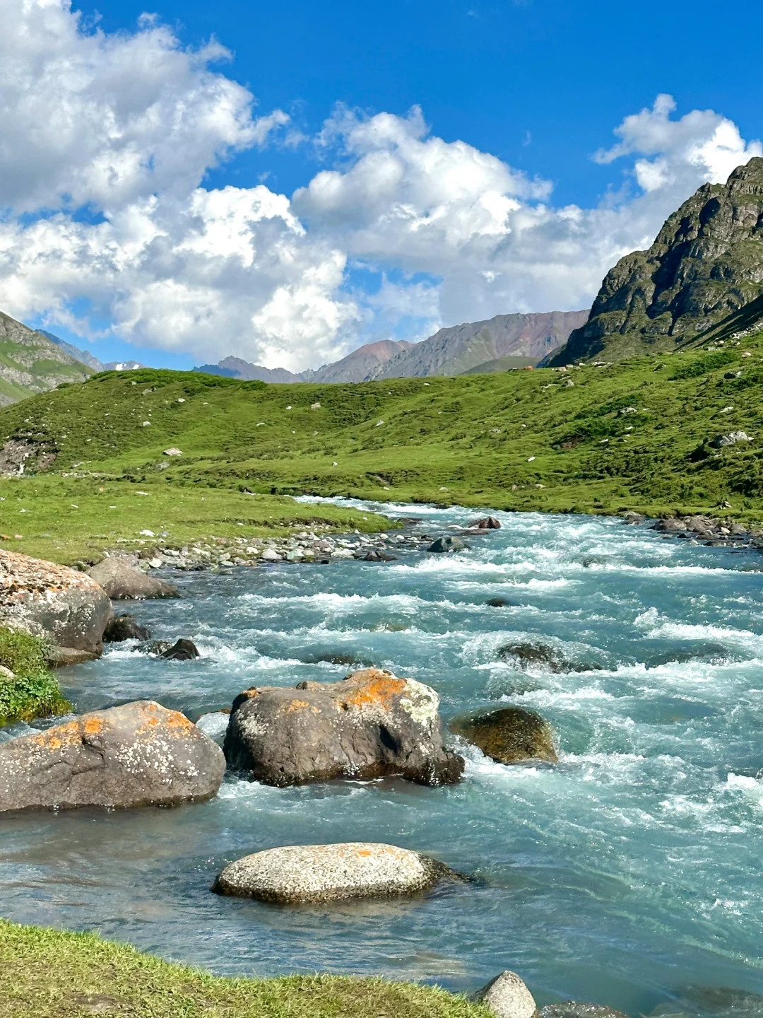 只有live图才能还原新疆震撼的美貌！！！