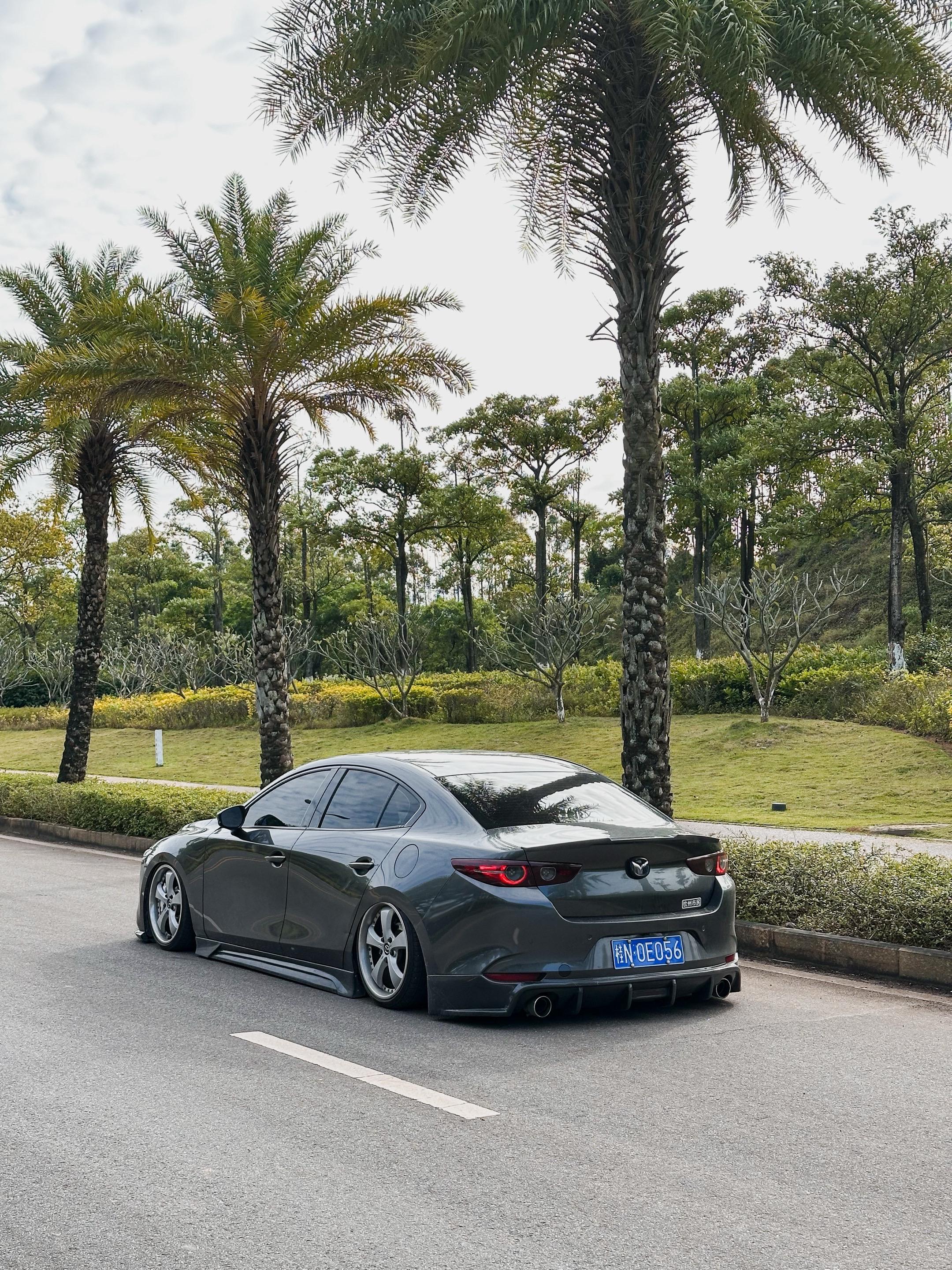 我取悦自己 你看着就好了