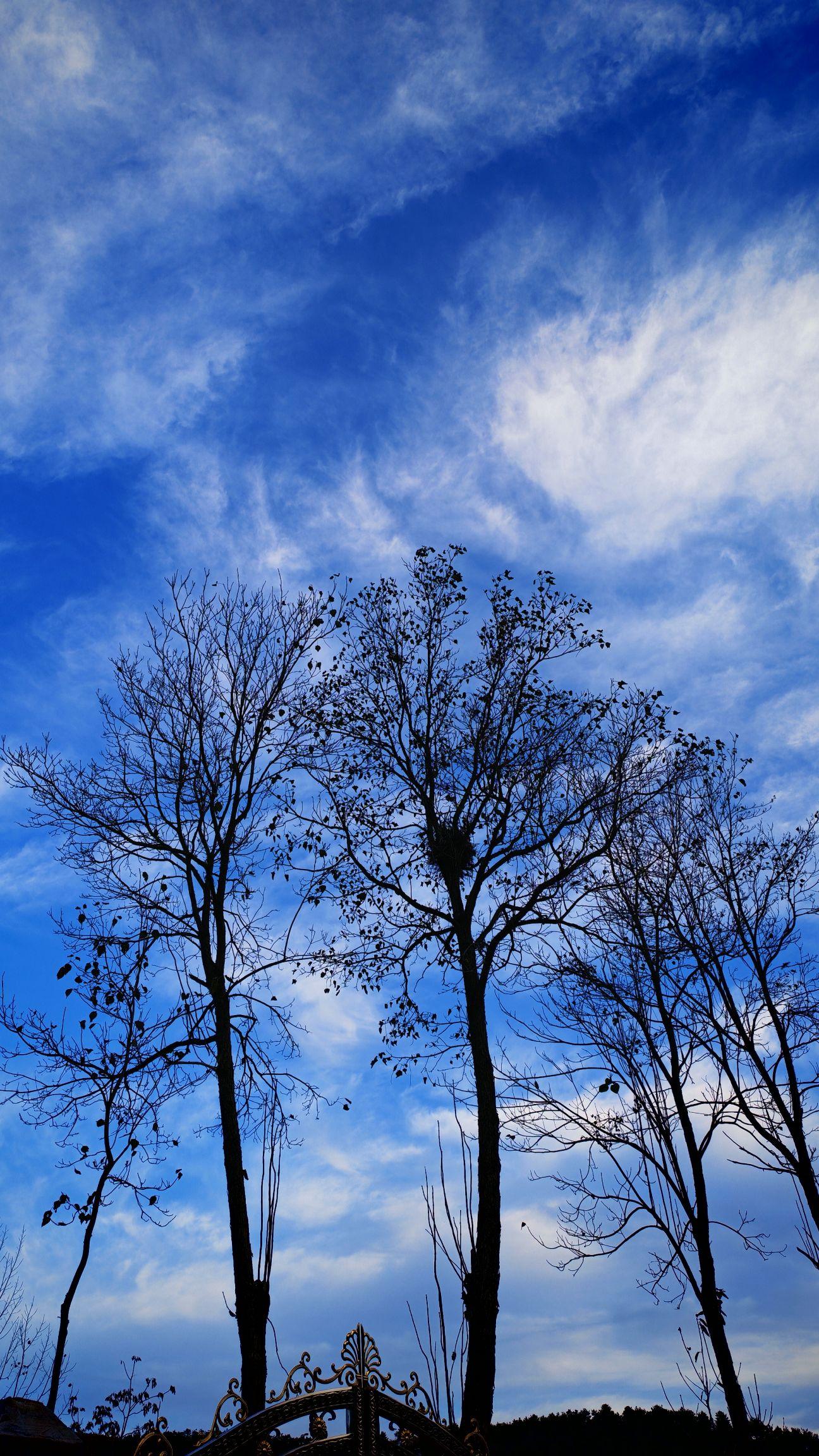 我们以为岁月会取之不尽，却忘了此刻不会重来，老家，永远的牵挂