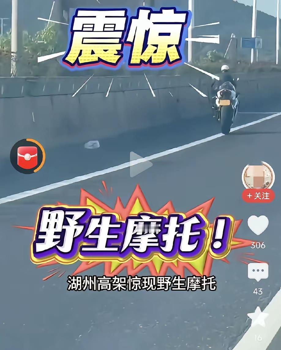湖州高架意外出圈！张雪820RR不靠赛事，凭“无人驾驶”画面刷屏全网
 
提起张