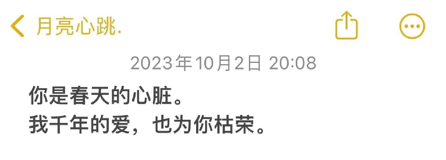 “你是忽明忽暗的悲观主义” ​​​
