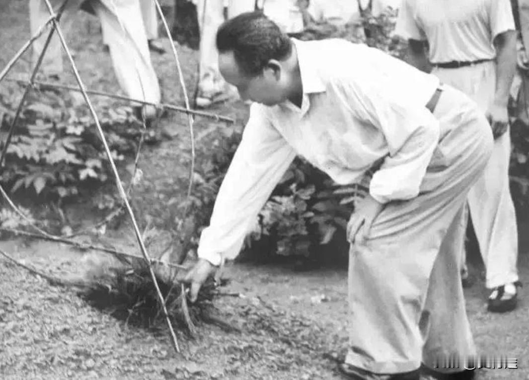 1959年，毛主席回到了韶山。发现父母的坟墓因缺乏维护，已经破烂不堪。面对身边人