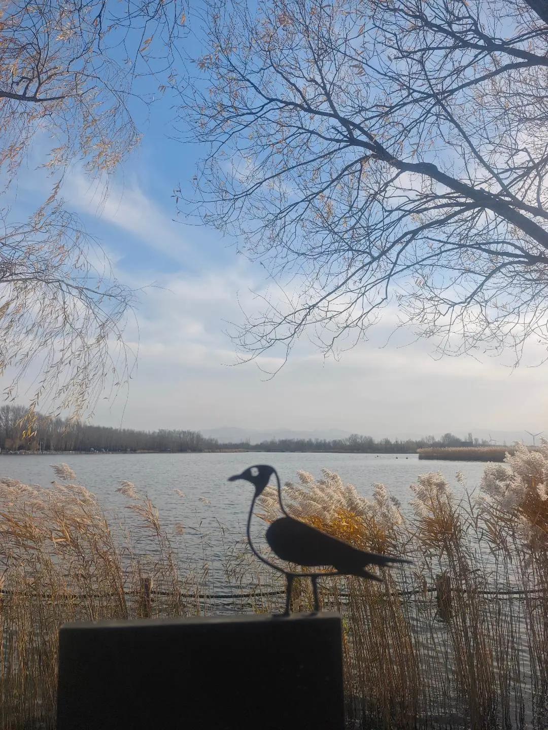 我吹过你吹过的风。算不算相拥。。。