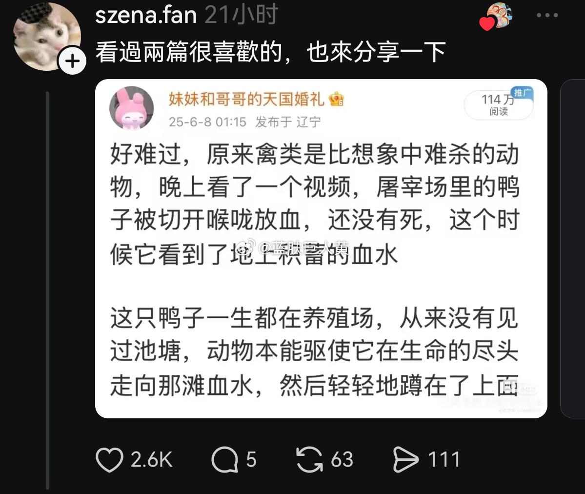 对岸网友热议：大陆网络评论区简直是当代鲁迅 