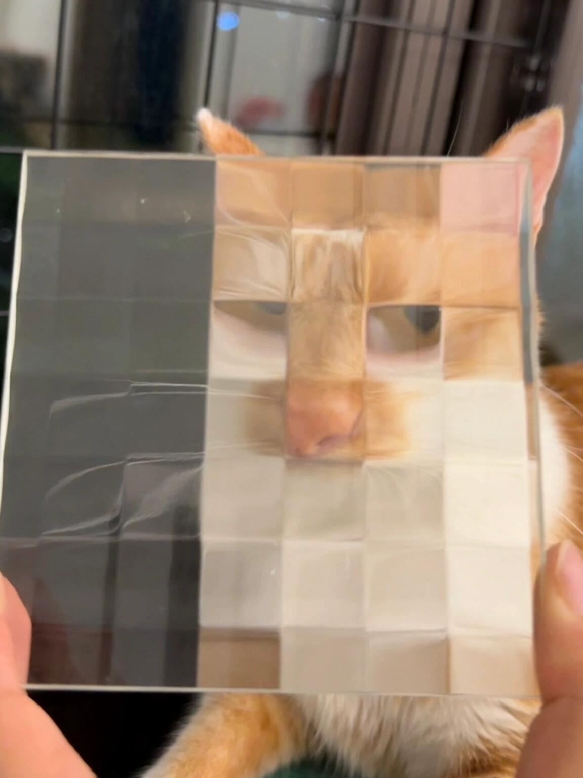 打猫赛克 ​​​