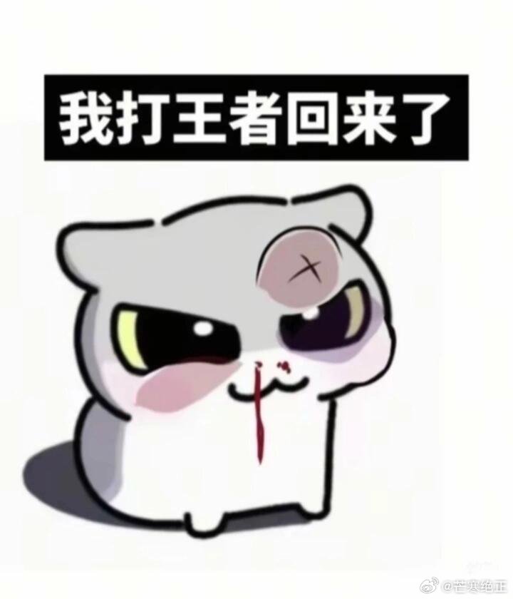 我每天打王者荣耀就这样 