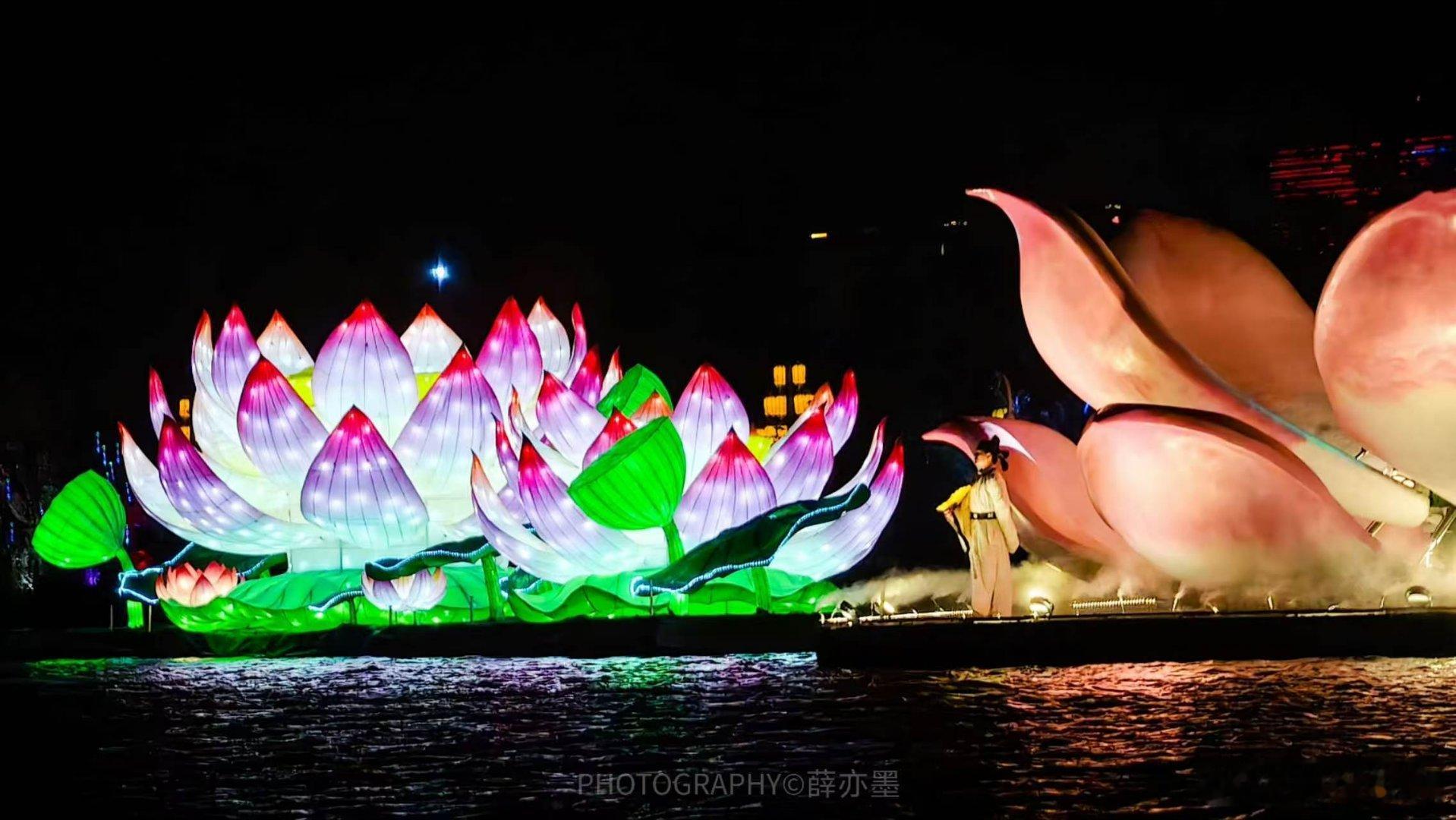 【寻美淮阳赴一场夏日文旅之约】看一池荷花，懂千年文脉，周口淮阳的夏天，真的很适合
