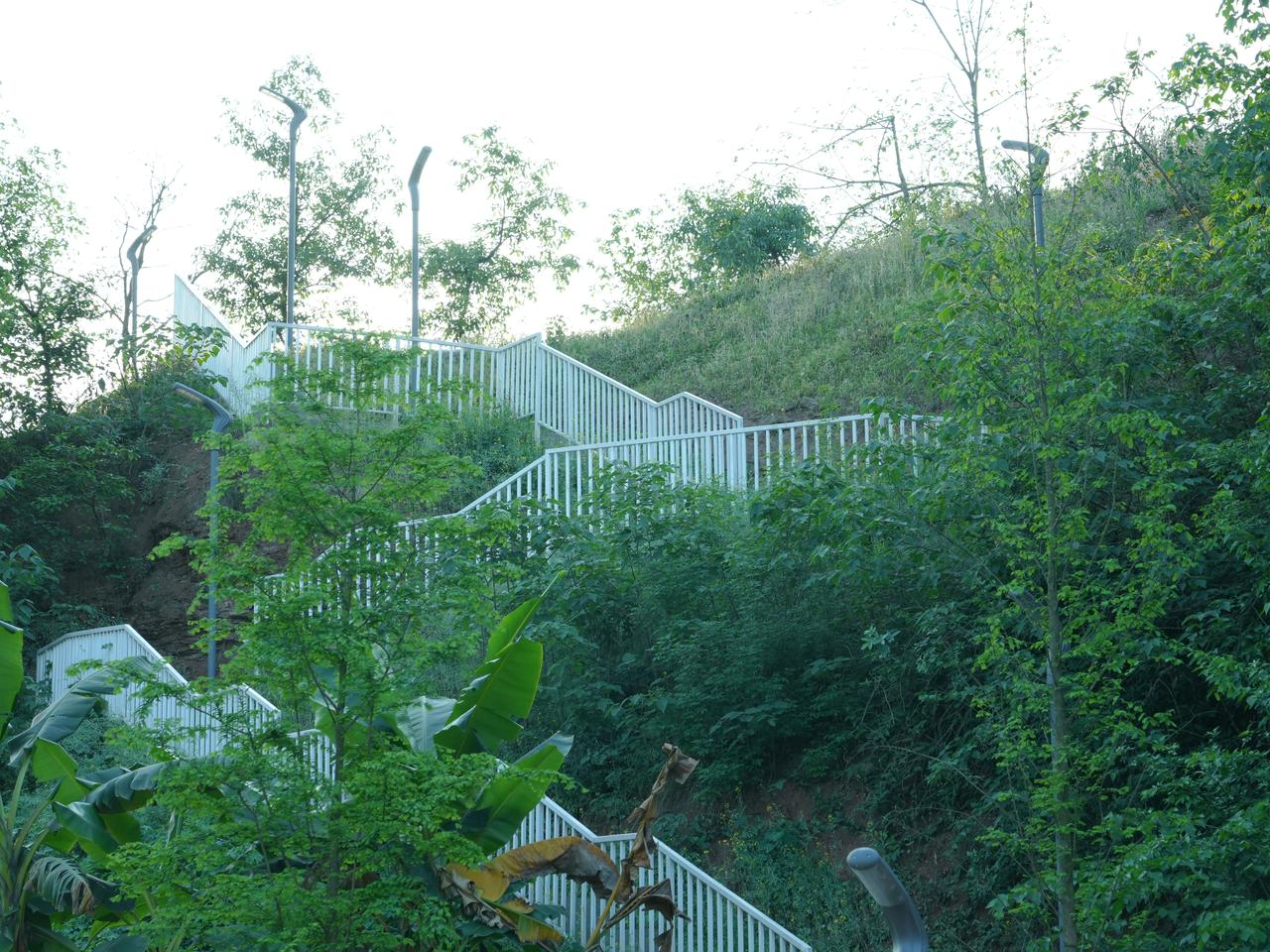 春天的柏木溪公园，最动人的，就是这顺着山坡修起来的步行梯。
    一抬头，白晃