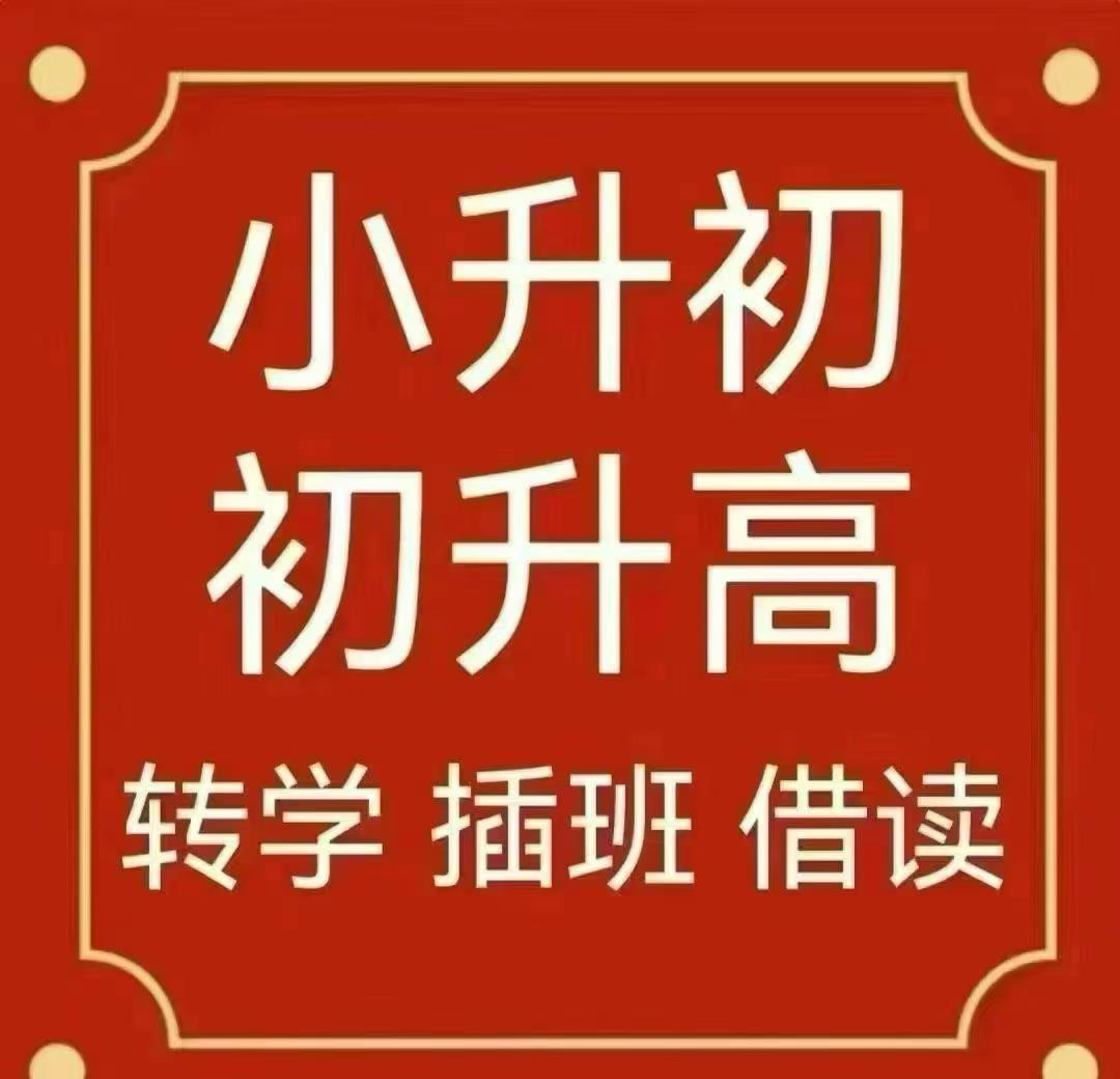 河间名校3-9年级研学滨湖小升初安排研学泊头名校4-9年级研学冀州信都小升初安平