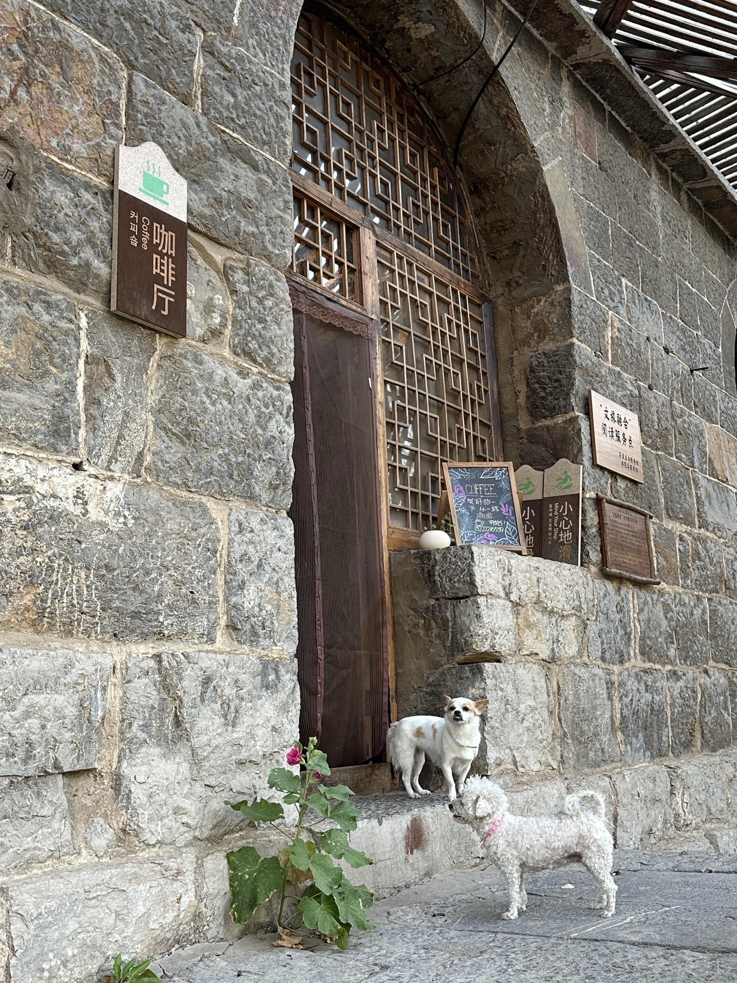 大山里的咖啡厅