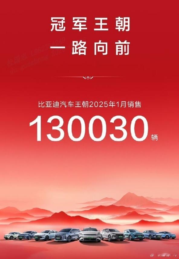 好家伙，2025年的1月份，比亚迪就以300538辆的销量成绩，再次稳坐中国品牌