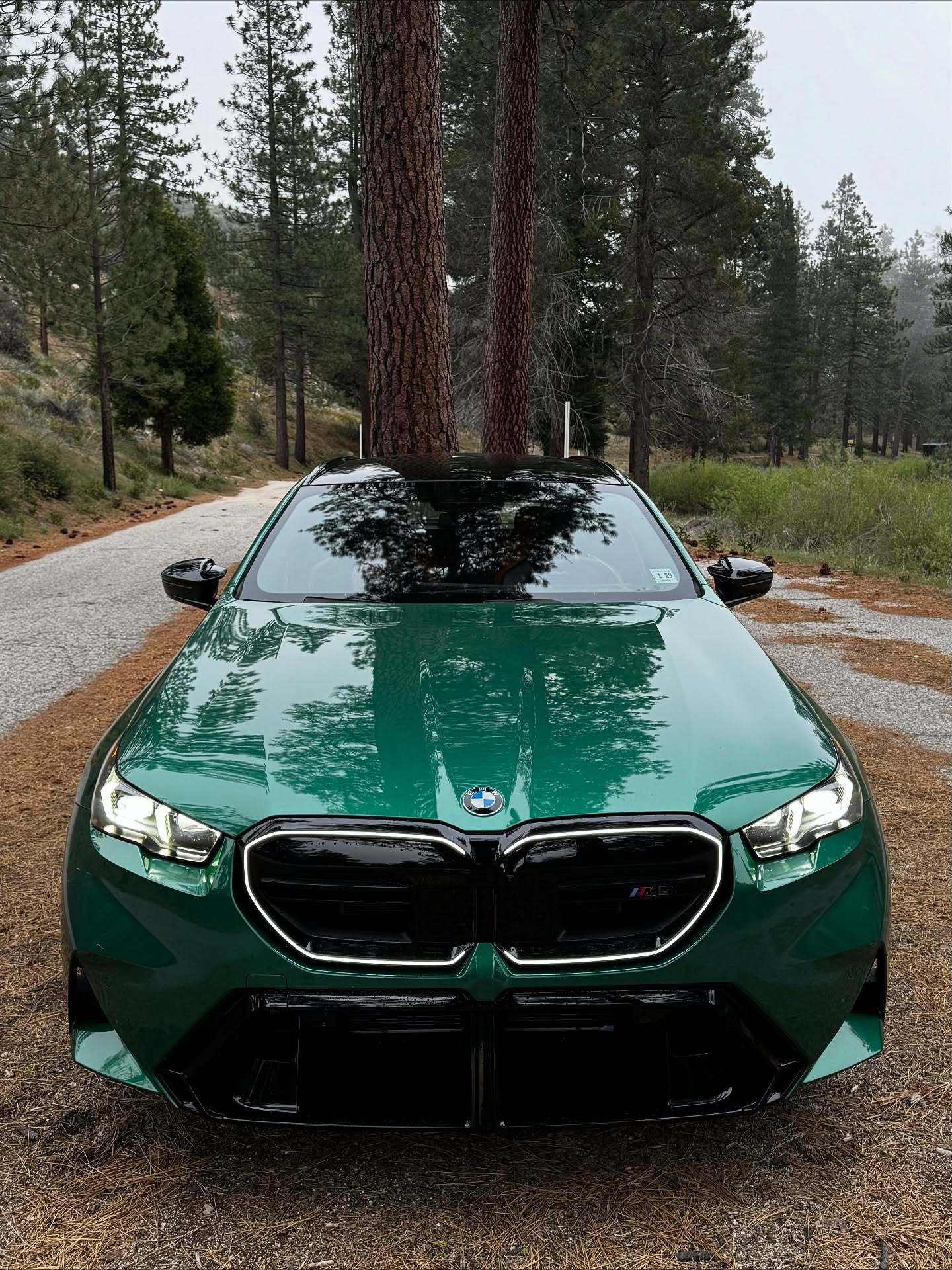 M5 Touring瓦罐M，这是什么绿？bmwsky[超话]瓦罐车宝马m5 ​​
