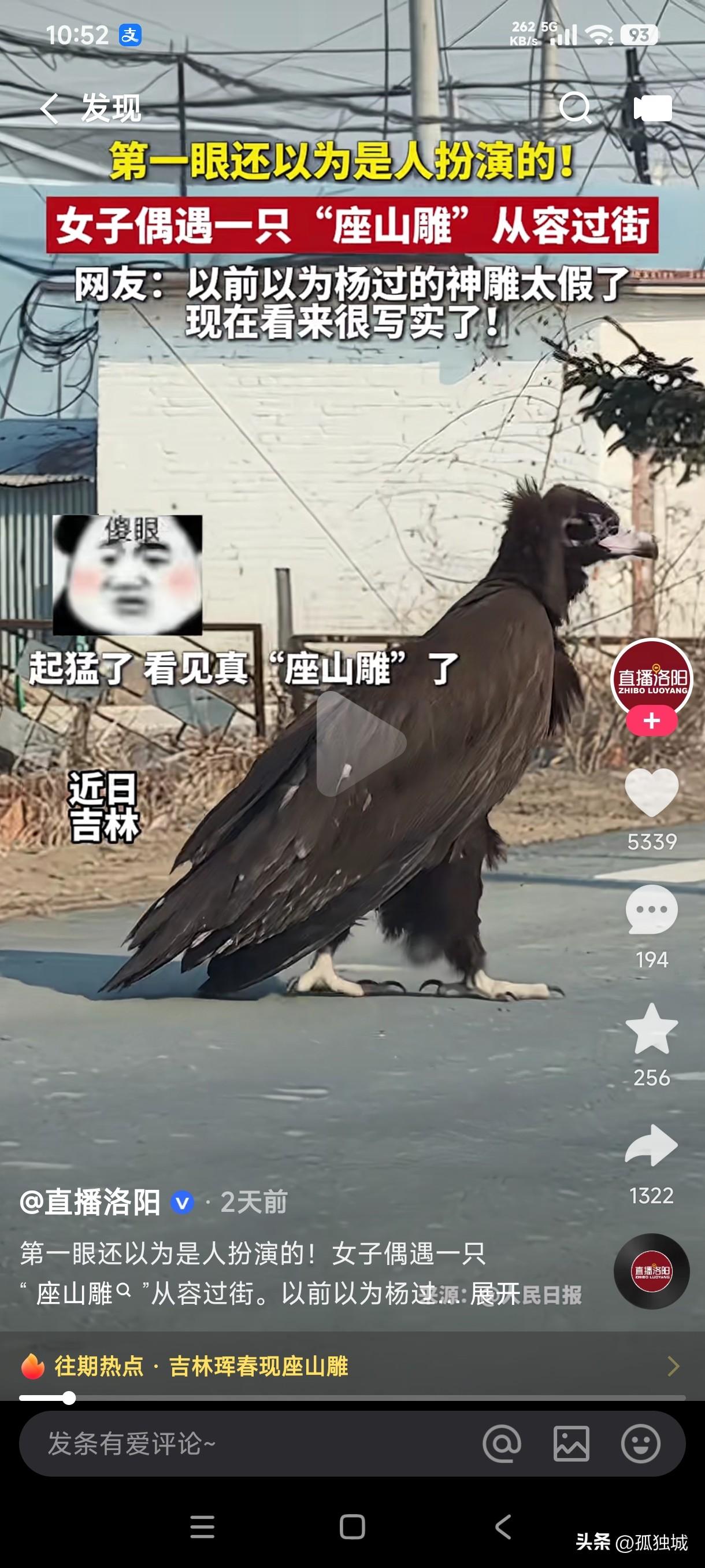 神剑侠侣中的座山雕居然出现在了现实生活中，第一眼看到还以为是人扮演的，结果这是真