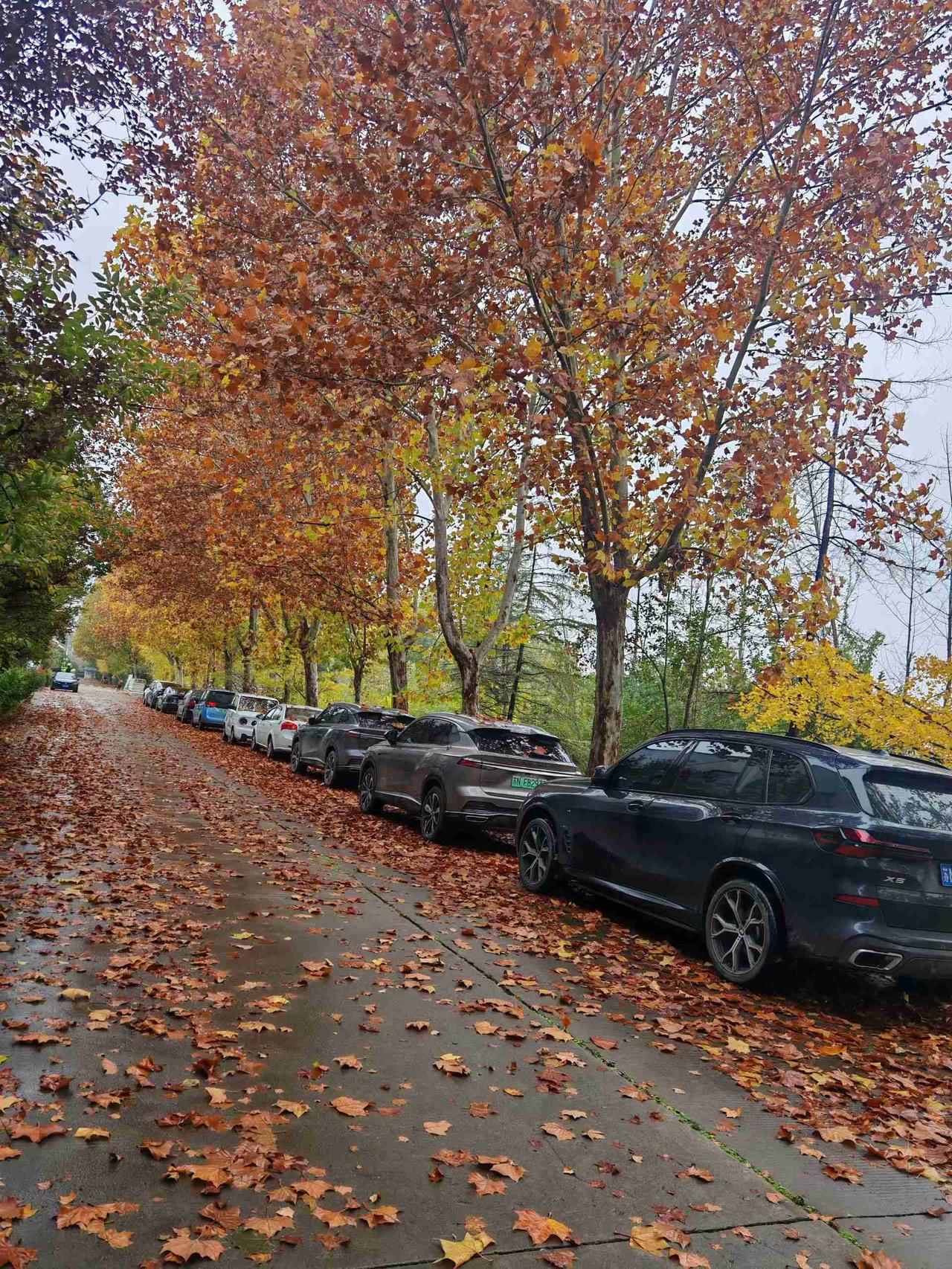 我的今日状态：😁轻松愉快
我这里的天气：☁️阴天