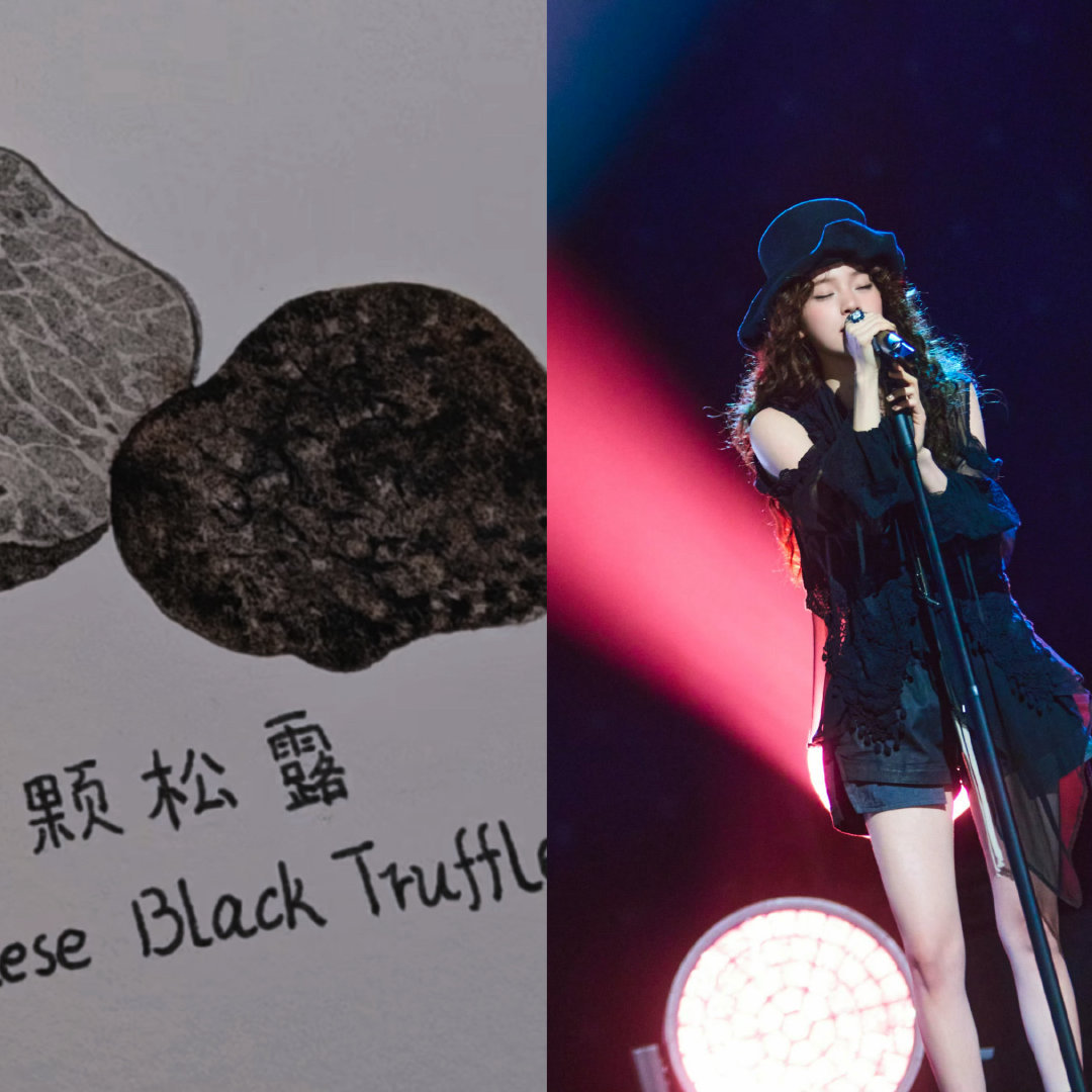 欧阳娜娜尝试了黑松露穿搭欧阳娜娜在穿搭这块就没输过！！声生不息 最新的穿搭好像一