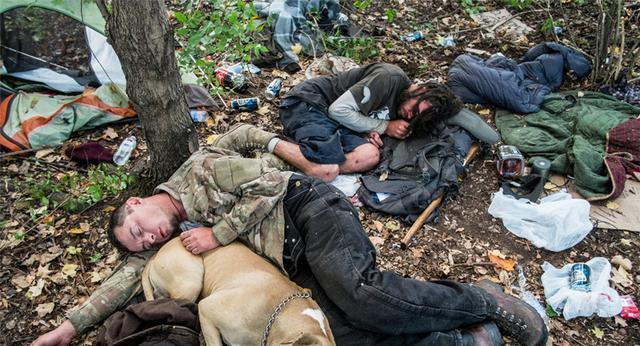 洛杉矶街头，七万五千张人脸在黑暗中蠕动。
好莱坞丧尸片的灵感，不是特效，是现实。