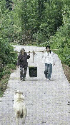 乡村超搞笑的暖心翻车一幕，真的越看越上头！
 
祖孙俩提着满满一桶果子，小心翼翼