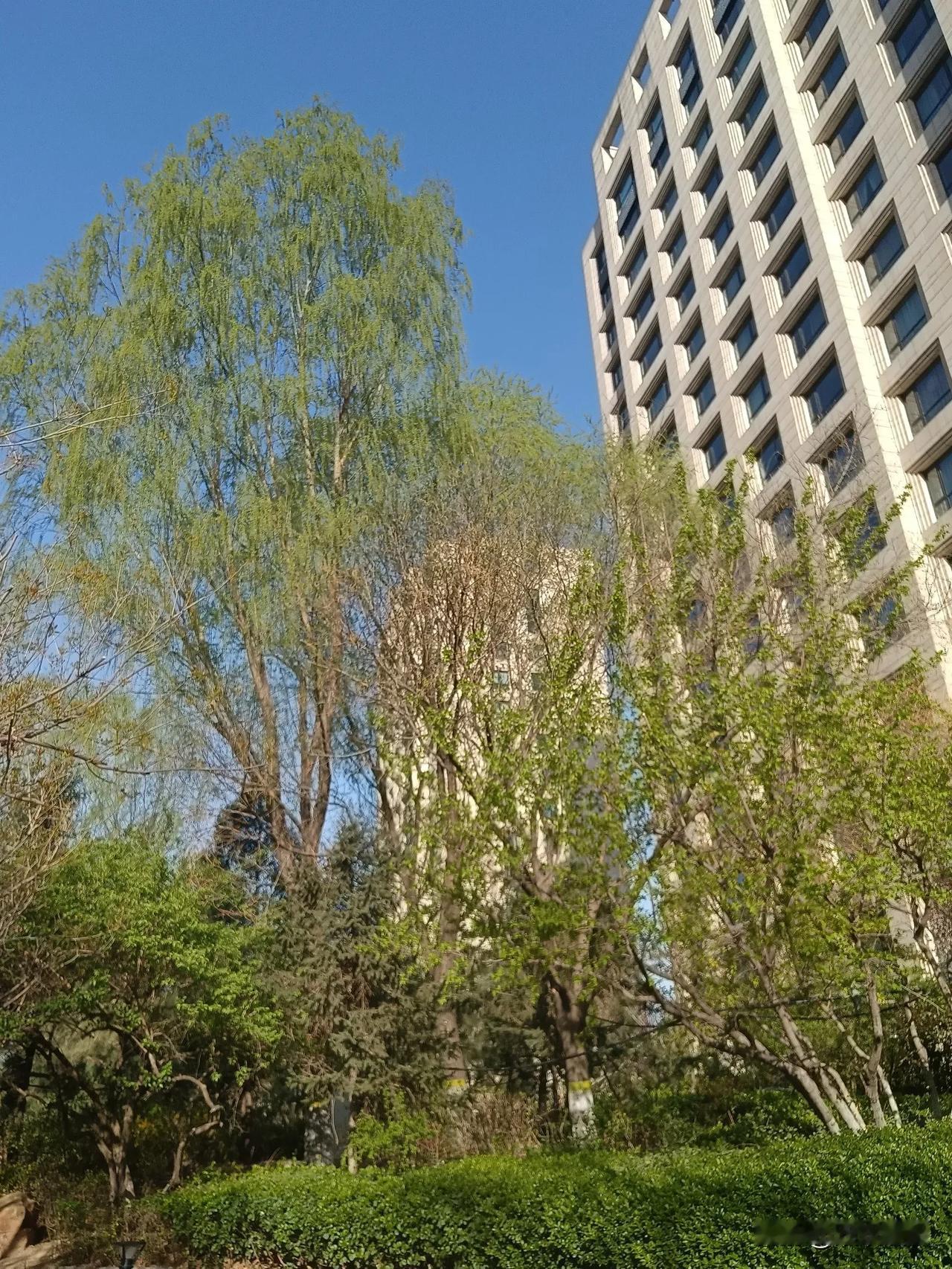 人间最美四月天，愿你我好好珍惜，不负这稍纵即逝的春光！愿你我好好珍惜这生命中的缘