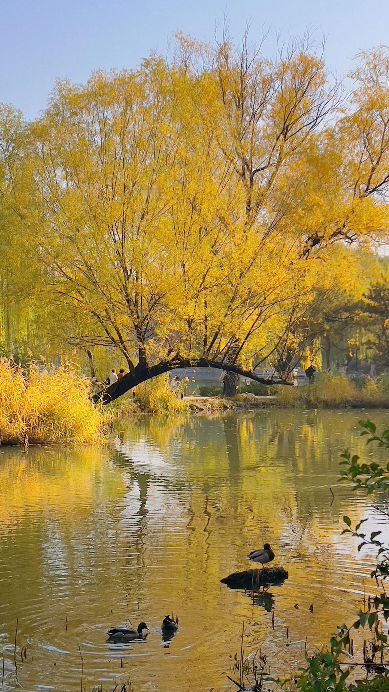 分享一下你随手拍下的照片