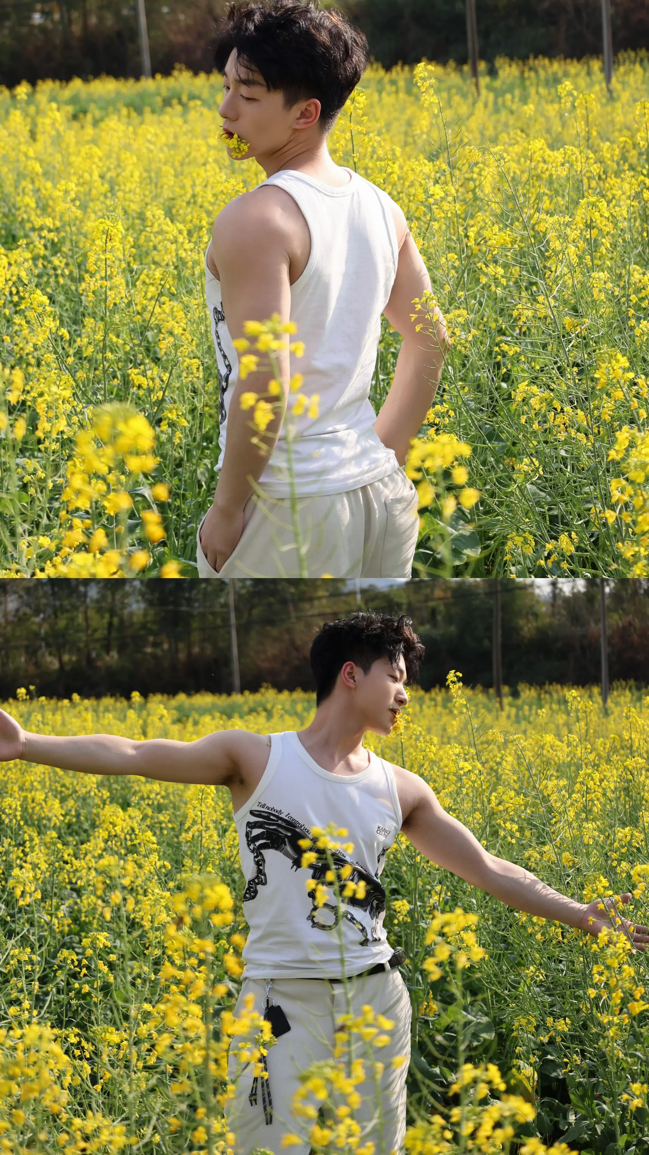 总有1️⃣片花海为你盛开