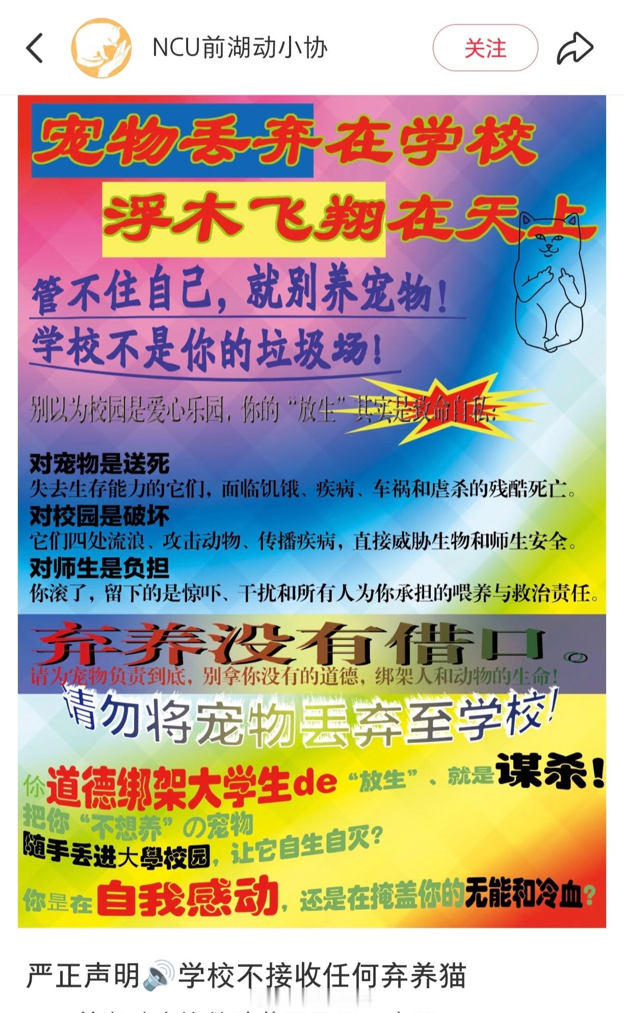 猫孝子：什么事浮木？