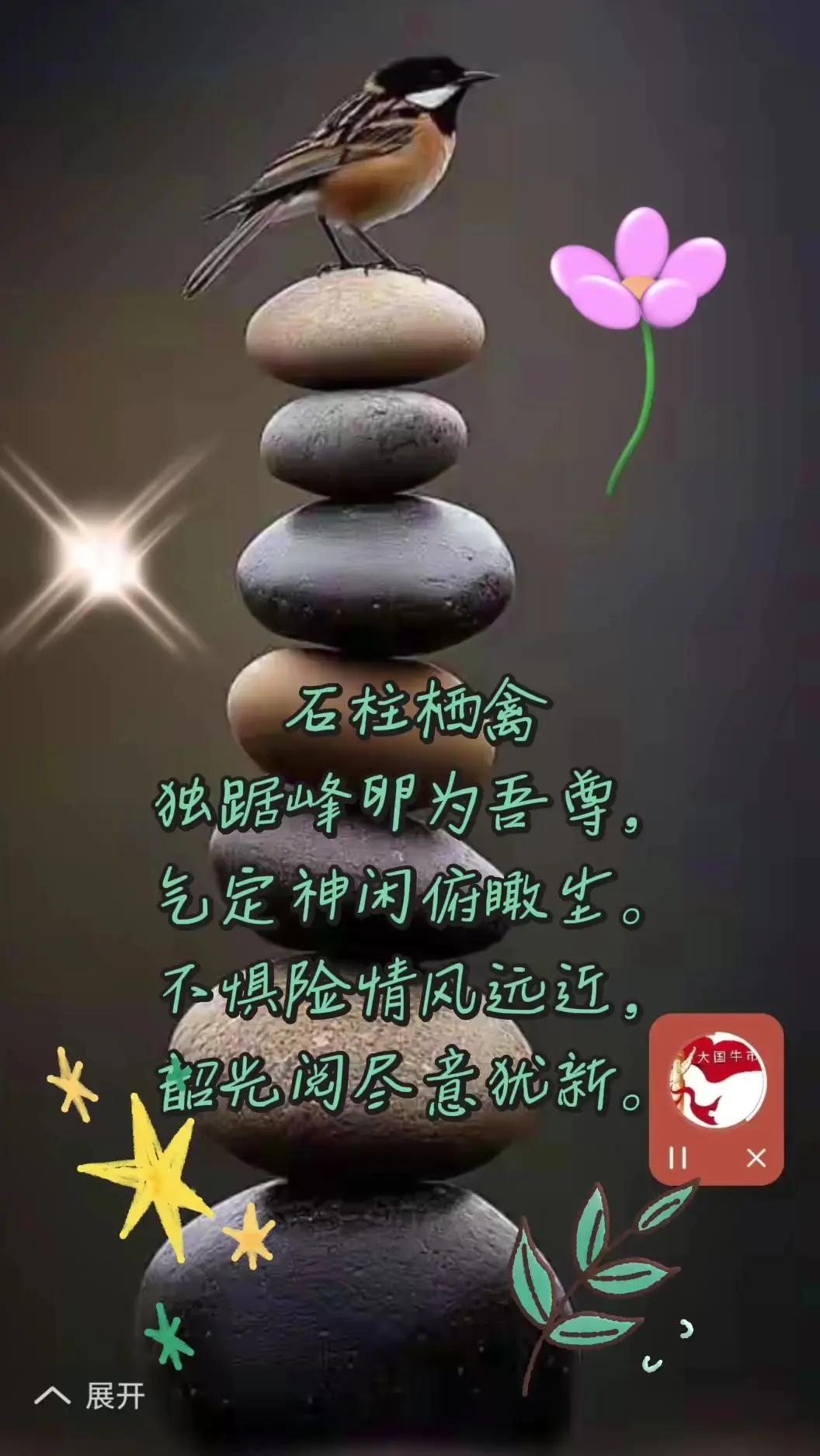 诗词歌赋。石上静思 高维文明 宇宙正能量吸引力法则  七绝：石柱栖禽独踞峰卵为吾