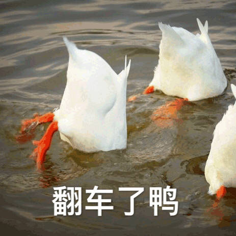 农民误信AI致百亩芝麻全毁常用的AI变成了和当年的百度差不多的东西